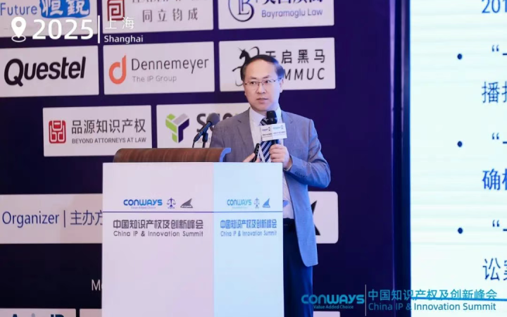 三聚阳光总裁张建纲出席CIPIS上海站 畅谈专利诉讼应诉策略与实践